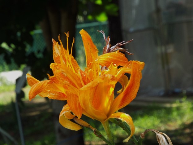 DSCF0132