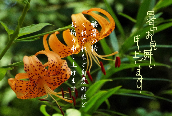 暑中10