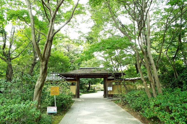DSCF0370