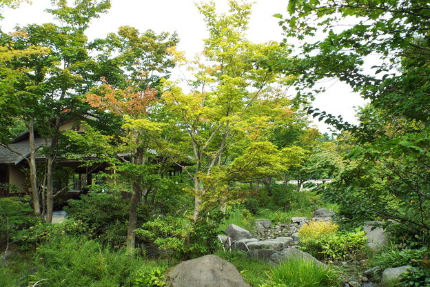 DSCF0378