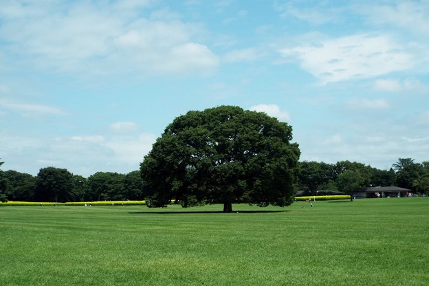 DSCF0069