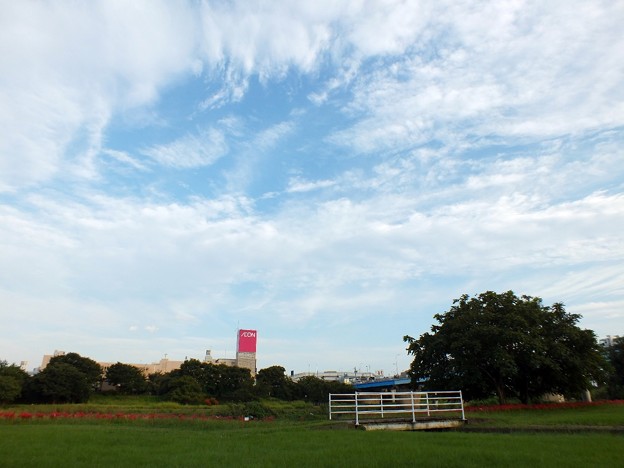 DSCF0752