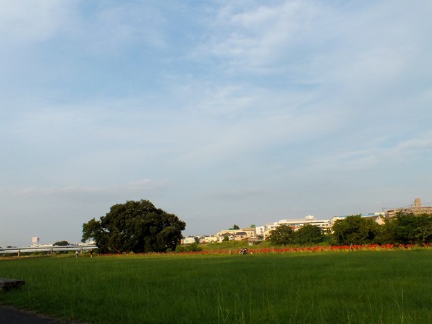 DSCF0756