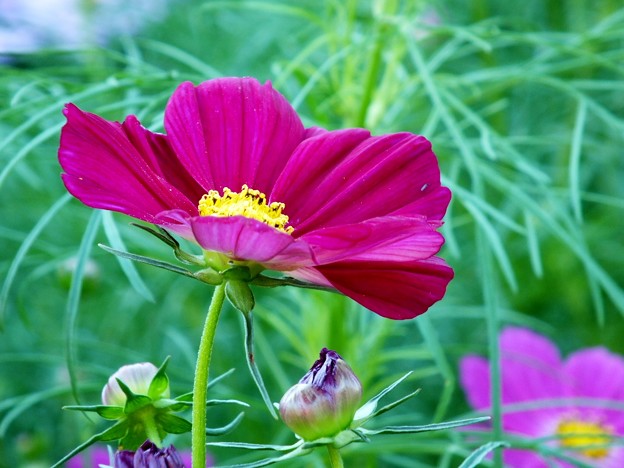 DSCF0619