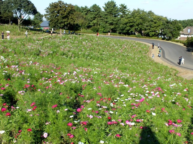DSCF0734