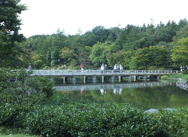 DSCF0317