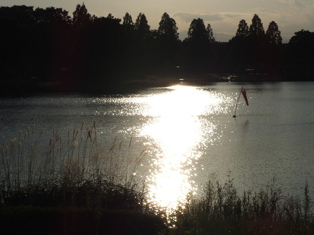 DSCF0877