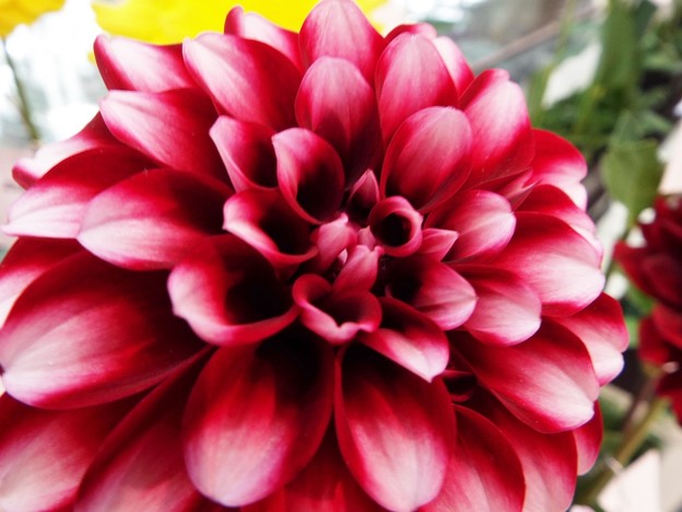 DSCF0384