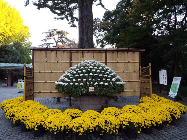 DSCF0735