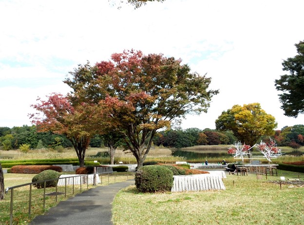 DSCF0008