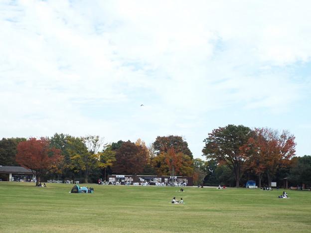 DSCF0343