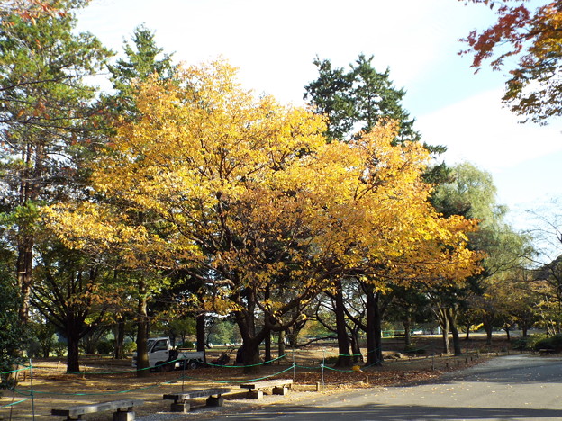 DSCF0599