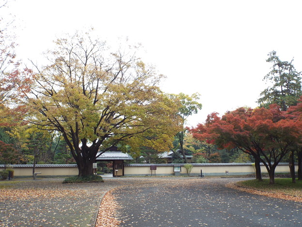 DSCF0073