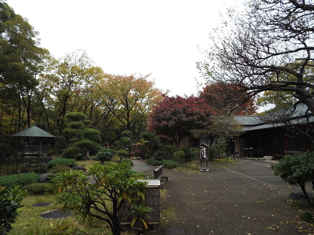 DSCF0102