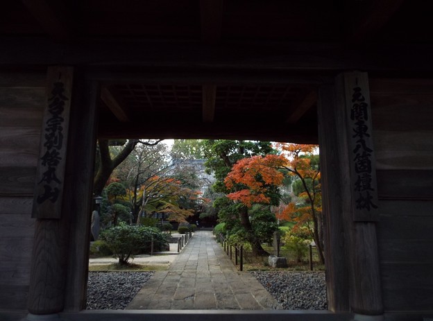 DSCF0360