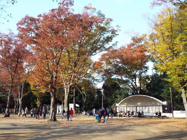 DSCF0520