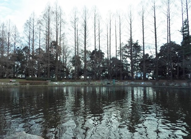 DSCF0338
