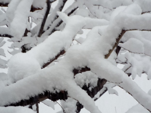 DSCF0008