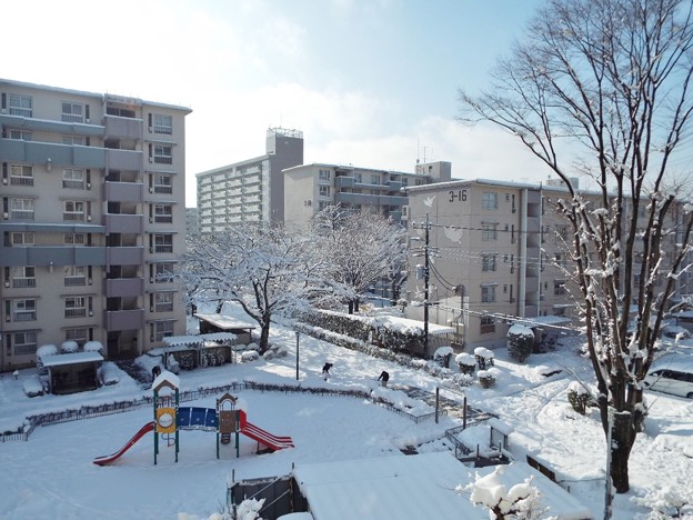 DSCF0003