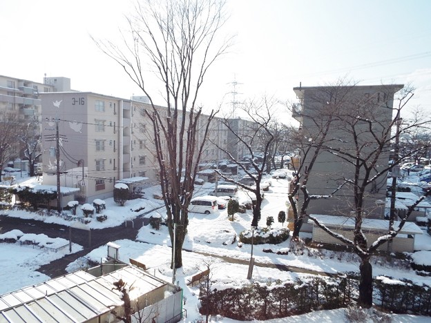 DSCF0021