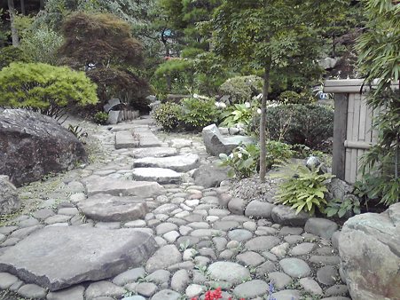 庭by弟