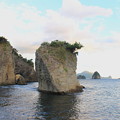 Photos: 浮島海岸