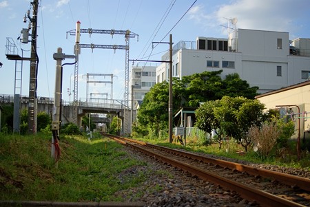 新金線