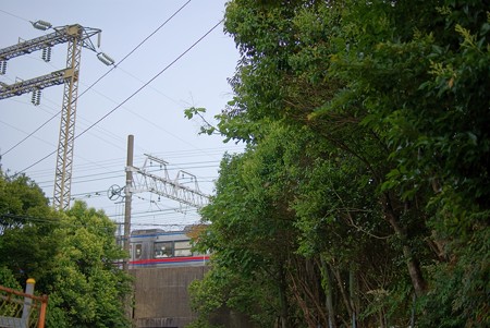 チラ見え電車