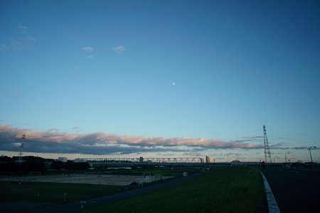 江戸川土手