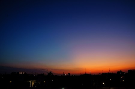 江戸川土手