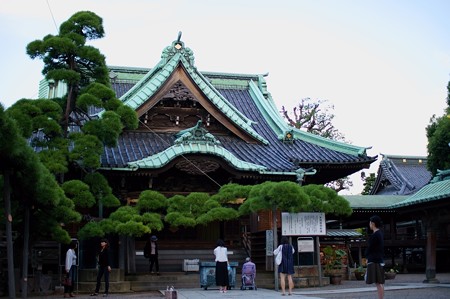 柴又帝釈天