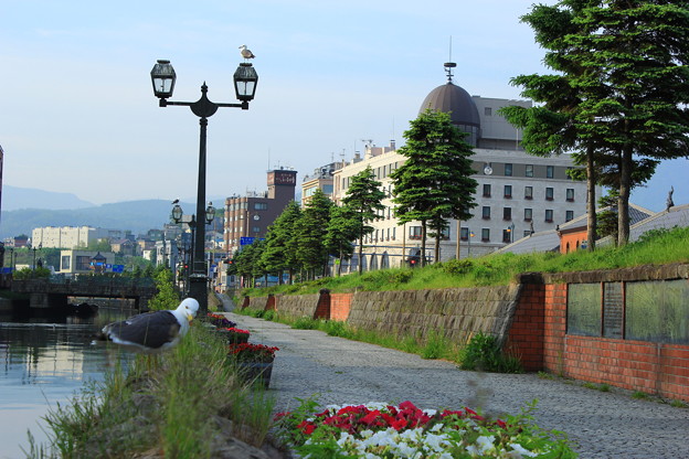 Otaru Canal