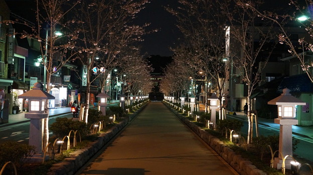DSC01806
