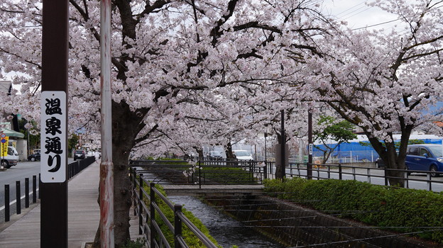 DSC01908