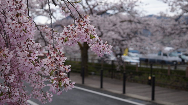 DSC01920
