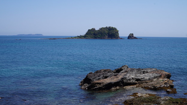 DSC02237 川奈海岸