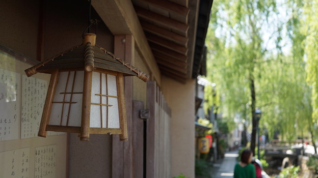 DSC02290 ペリーロード
