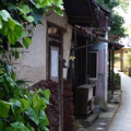 DSC02306　ペリーロード