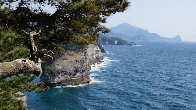 DSC02332 堂ヶ島
