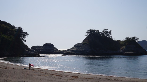 DSC02347 乗浜海岸