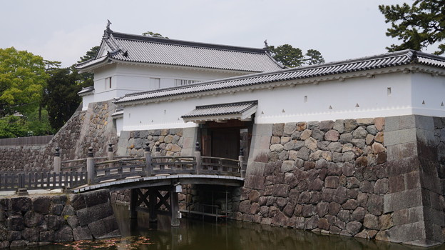 DSC02432小田原城址公園