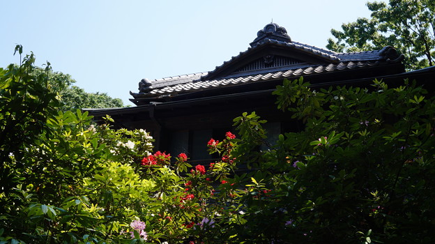 DSC02693たてもの園(高橋是清邸)
