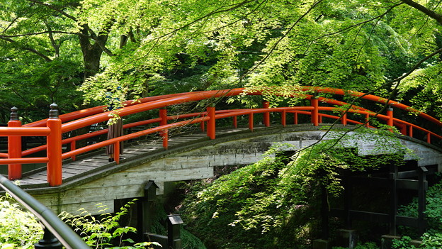 伊香保河鹿橋39