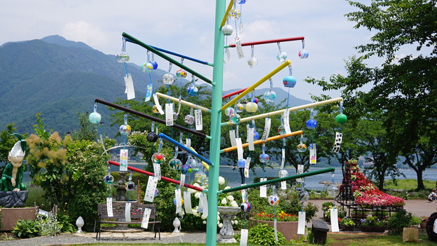DSC03334