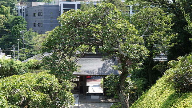 禅居院10