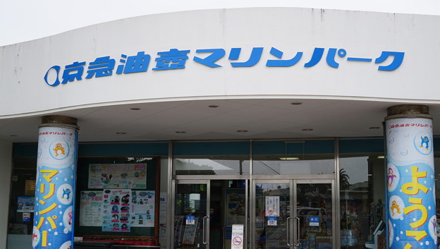 大人の遠足・三浦三崎3830