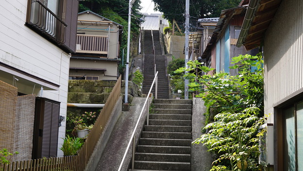 大人の遠足・三浦三崎3881