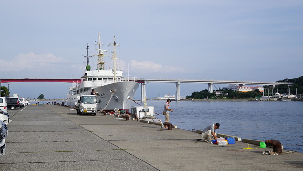 大人の遠足・三浦三崎3909