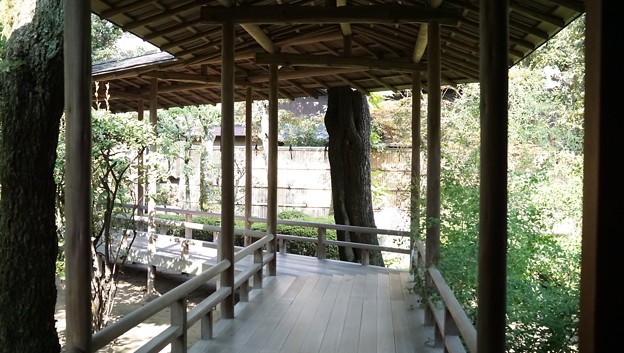 下町 柴又・亀有散歩18