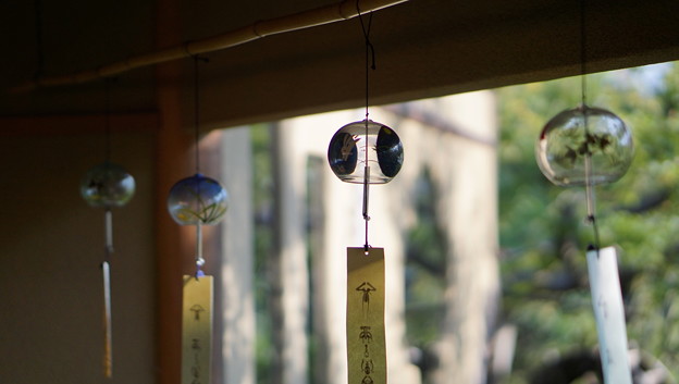 常泉寺(花寺・大和)1